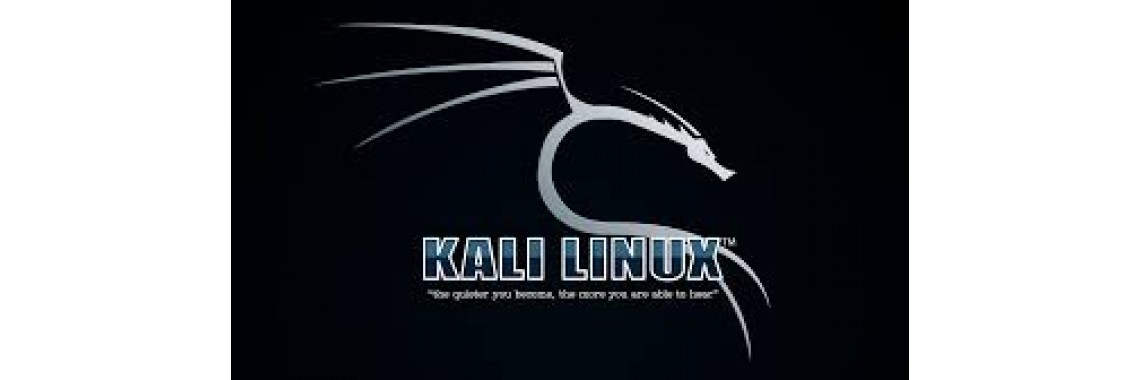 Kali Linux Live