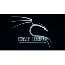 Kali Linux Live