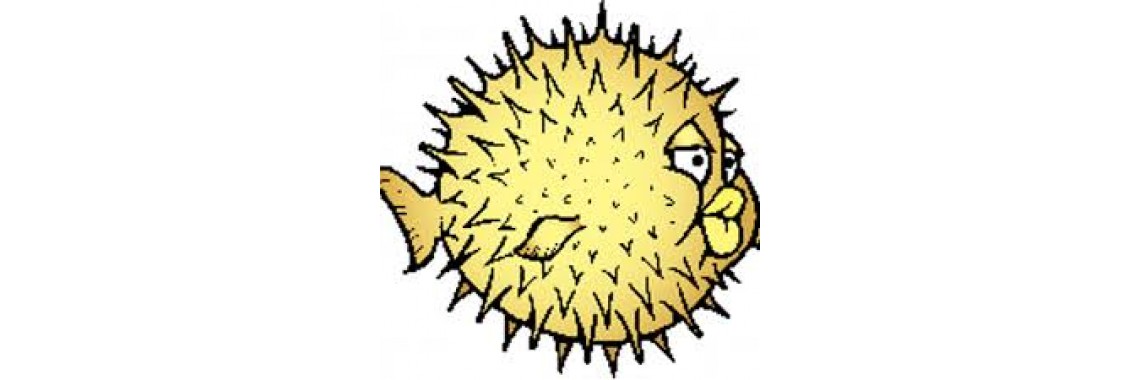 OpenBSD